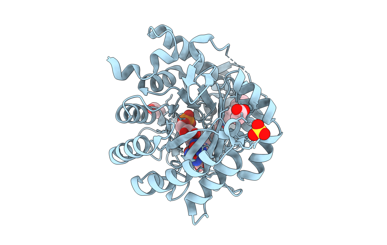 3F1Q image