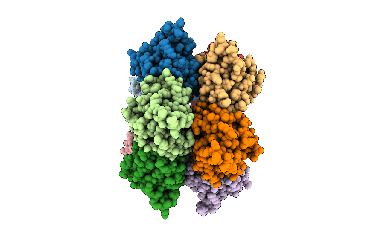 3F1Z image