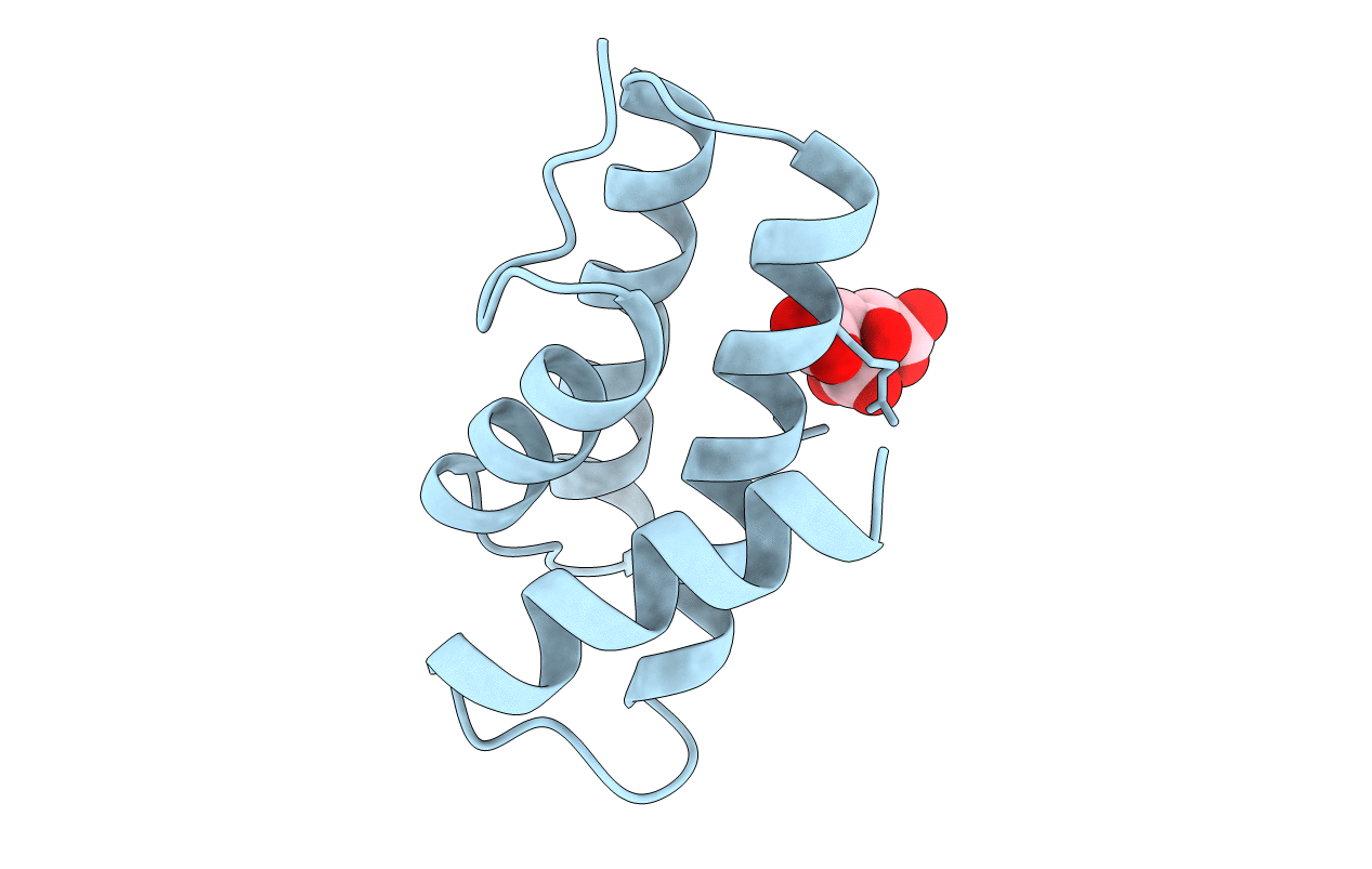 3F2E image