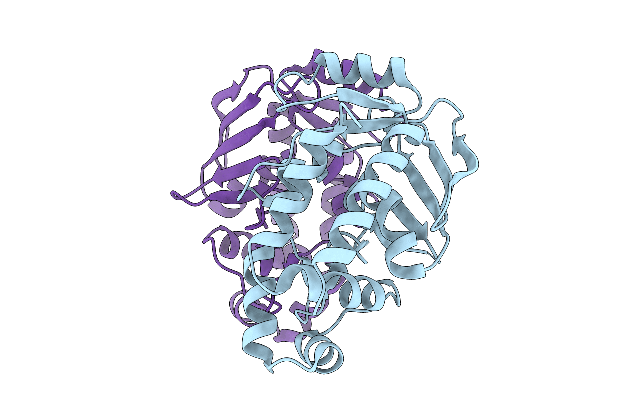 3F2G image