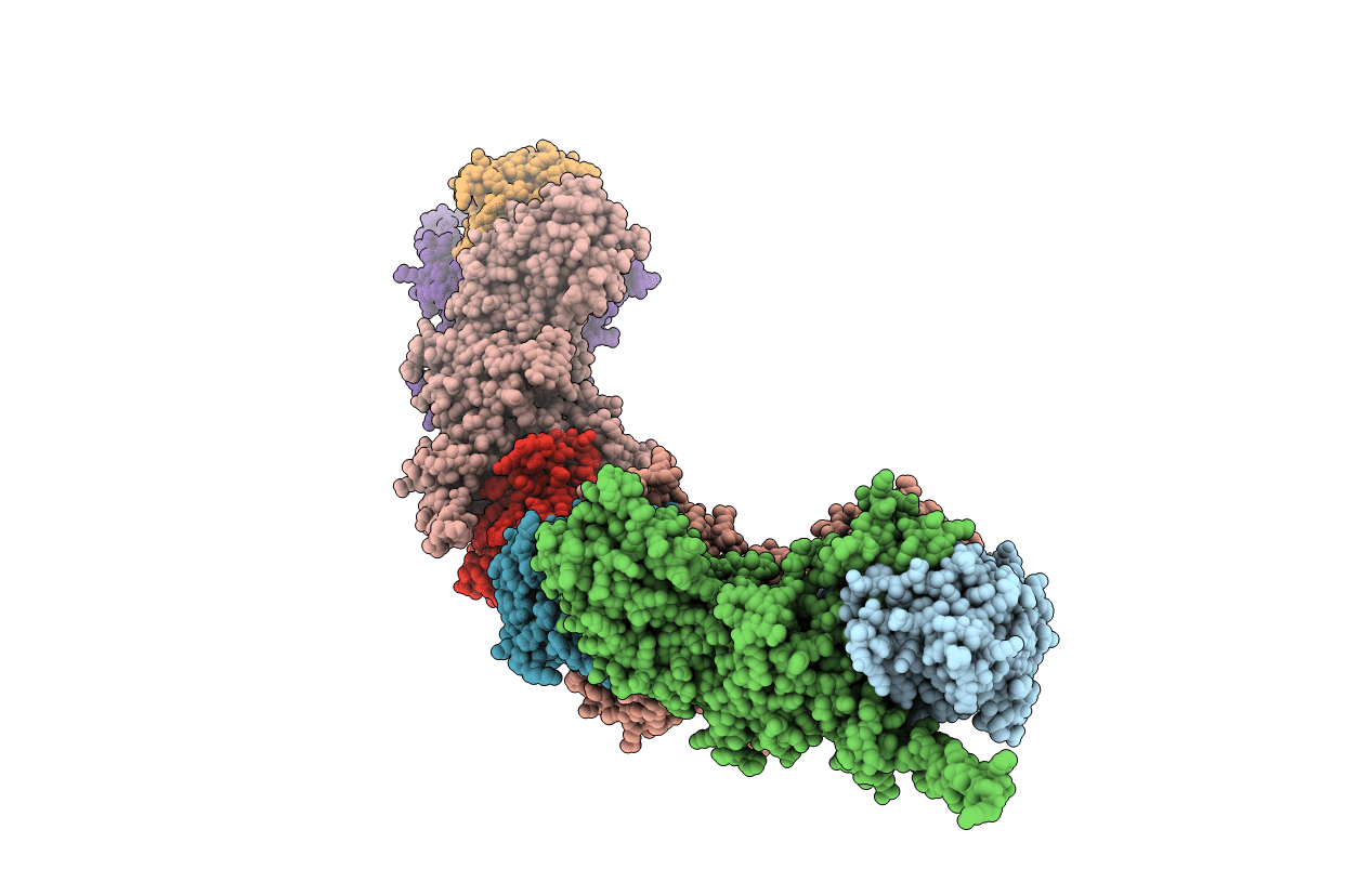 3F3G image