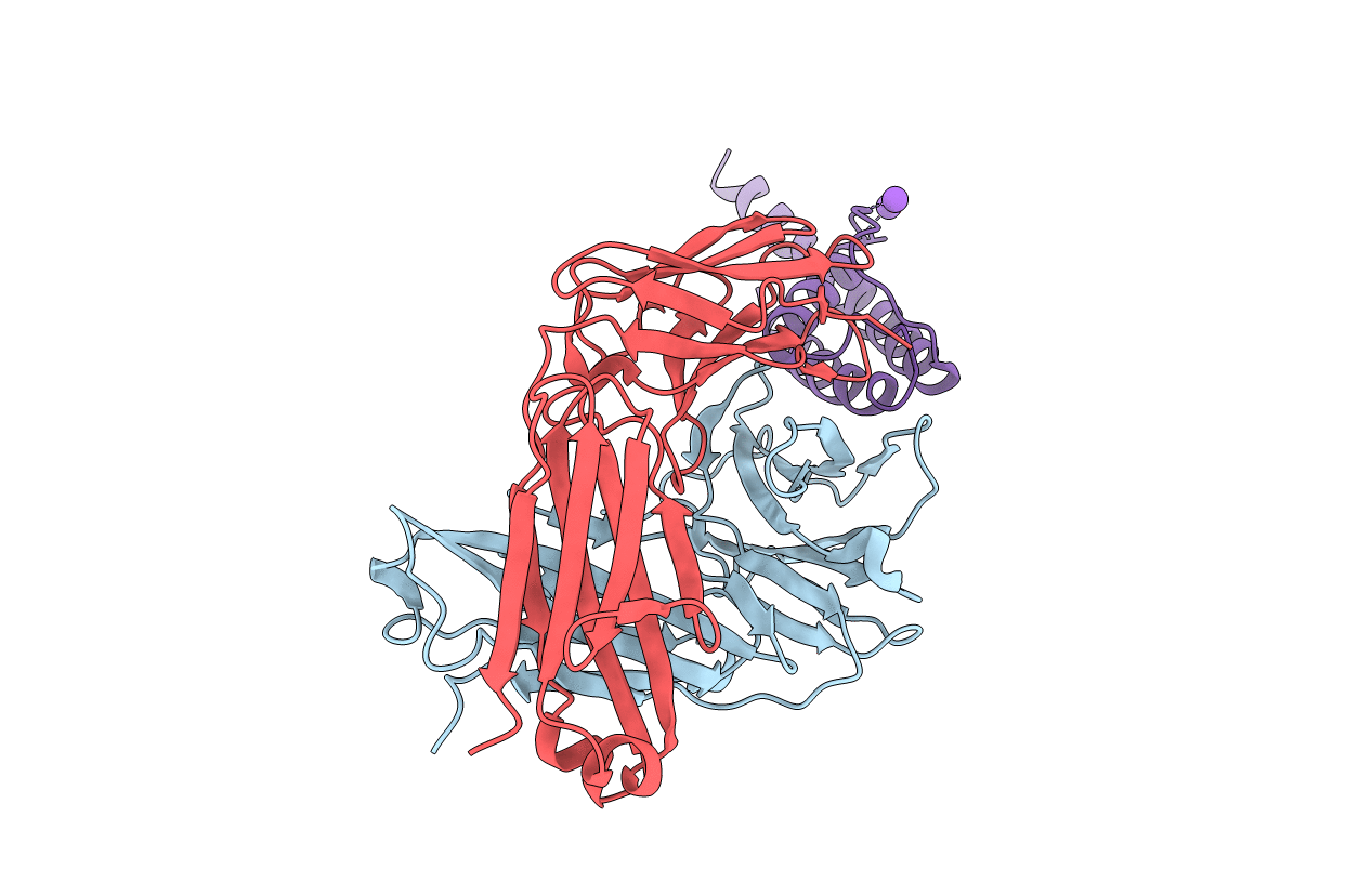 3F5W image