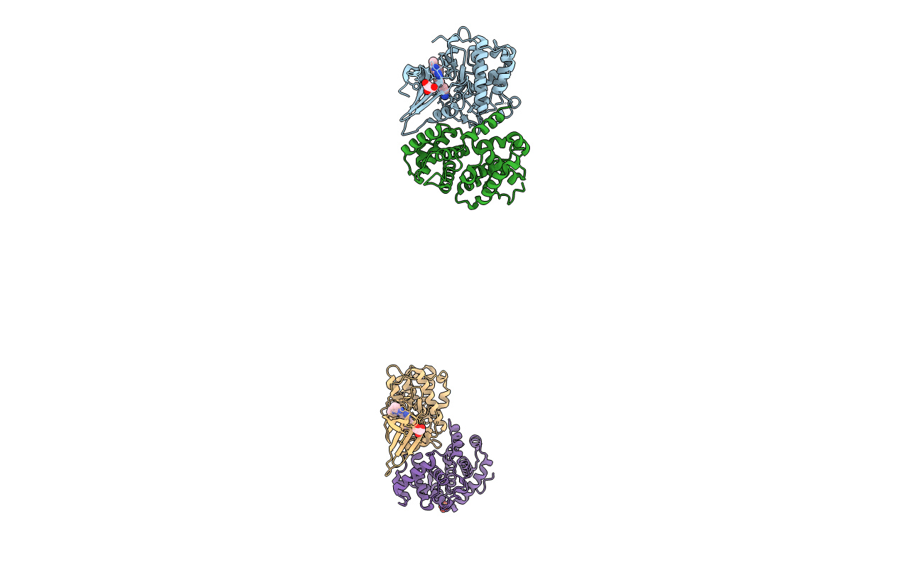 3F5X image