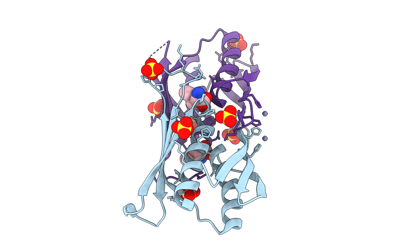 3F6G image