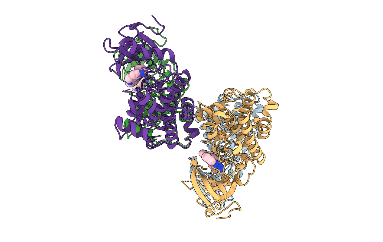 3F6X image