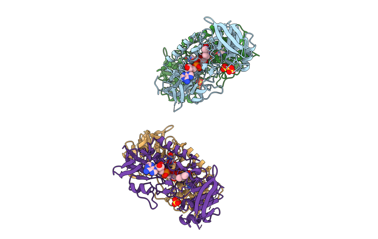 3F8D image