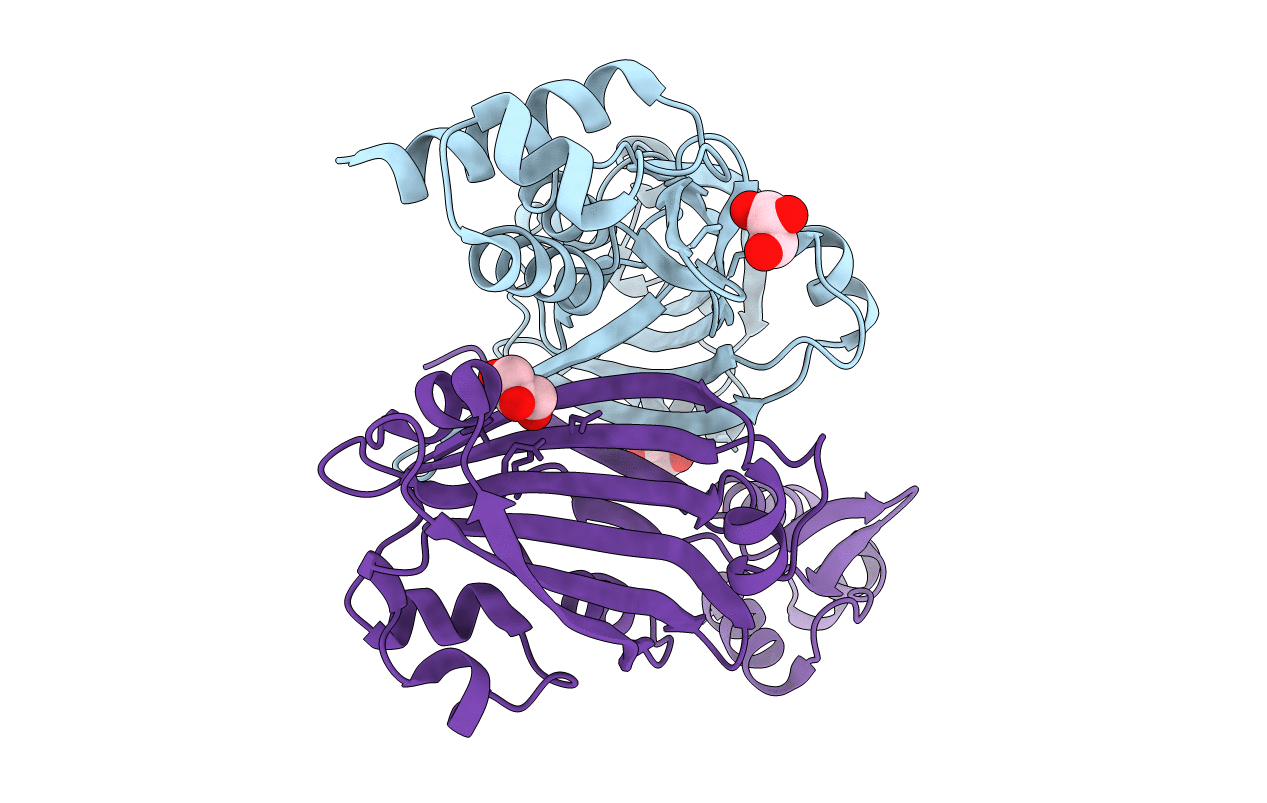3F8M image