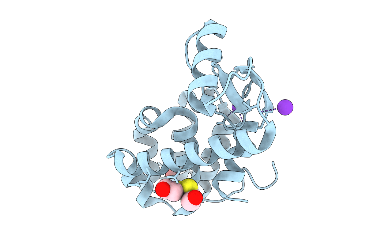 3F8V image