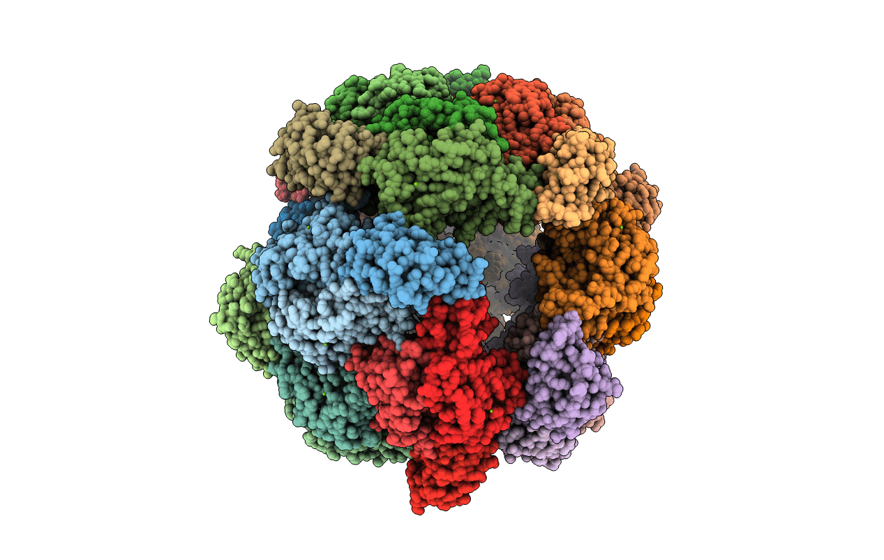 3F9K image