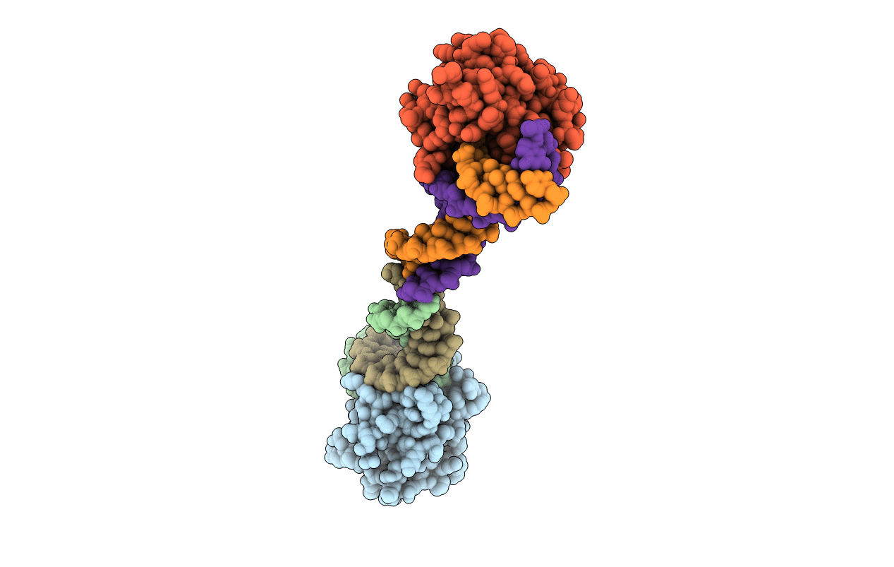 3FBD image