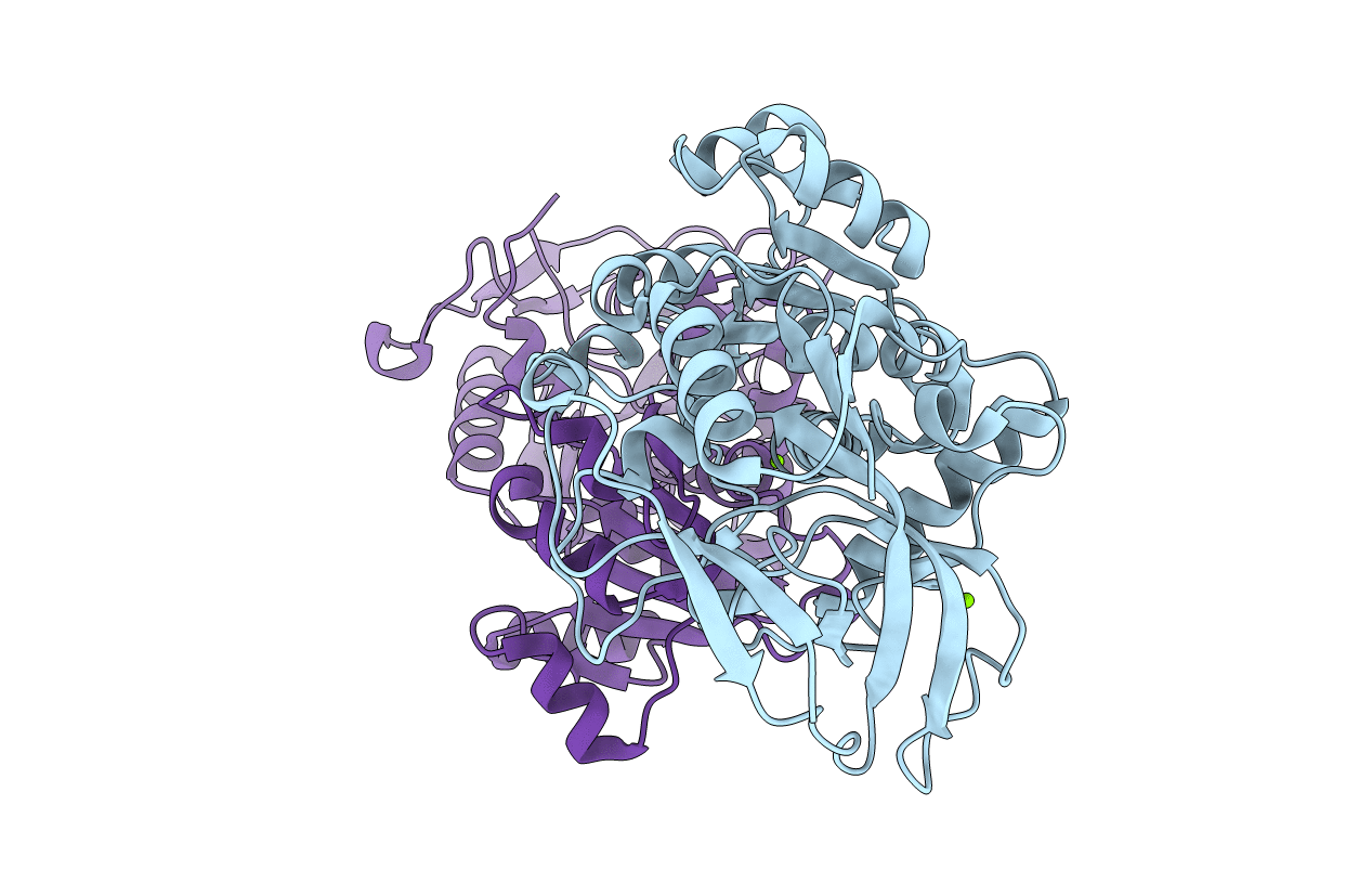 3FBG image