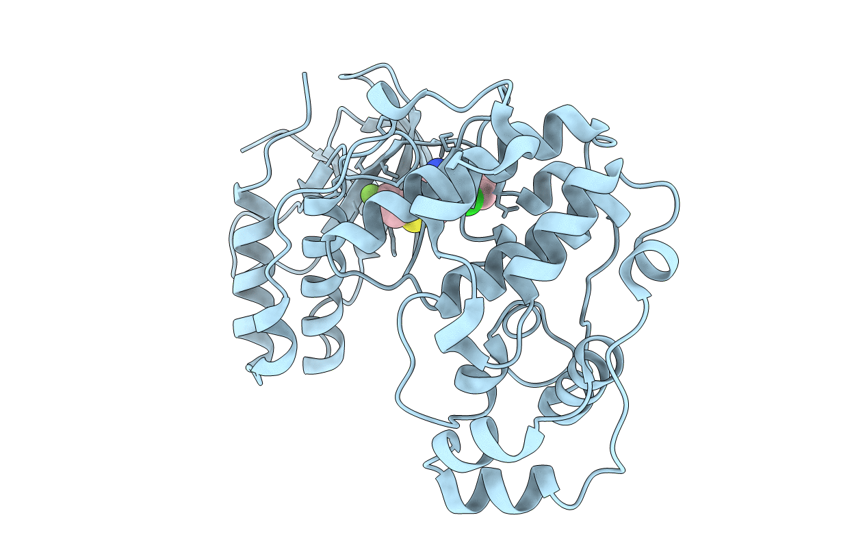 3FC1 image
