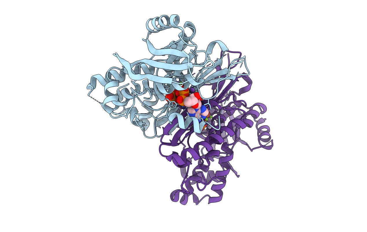 3FD6 image