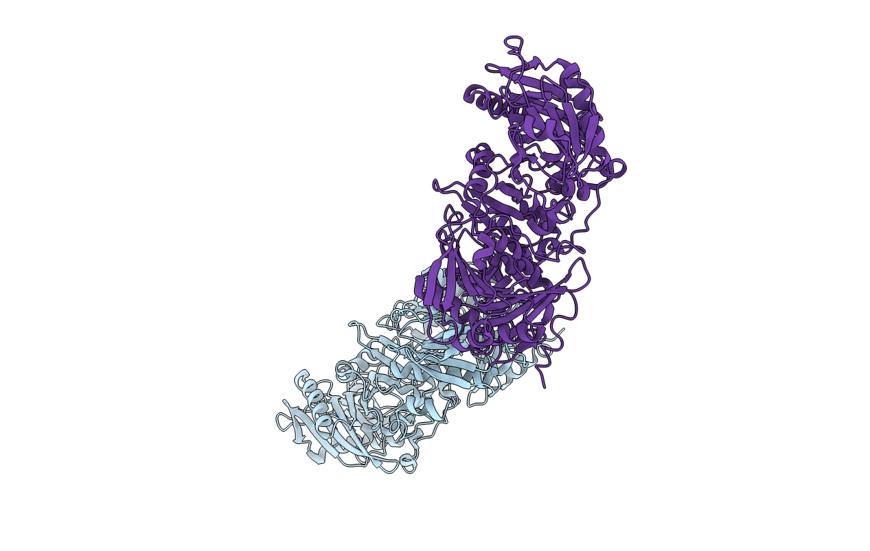 3FFN image