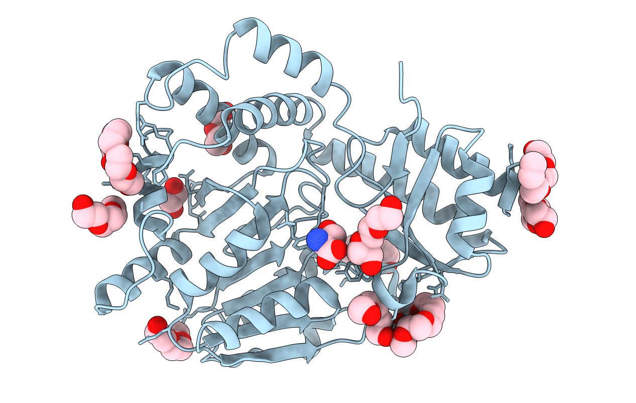 3FFR image
