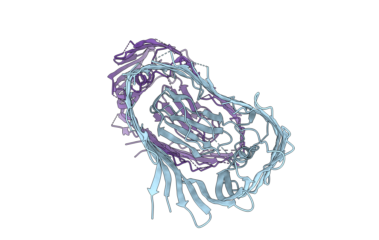 3FIP image