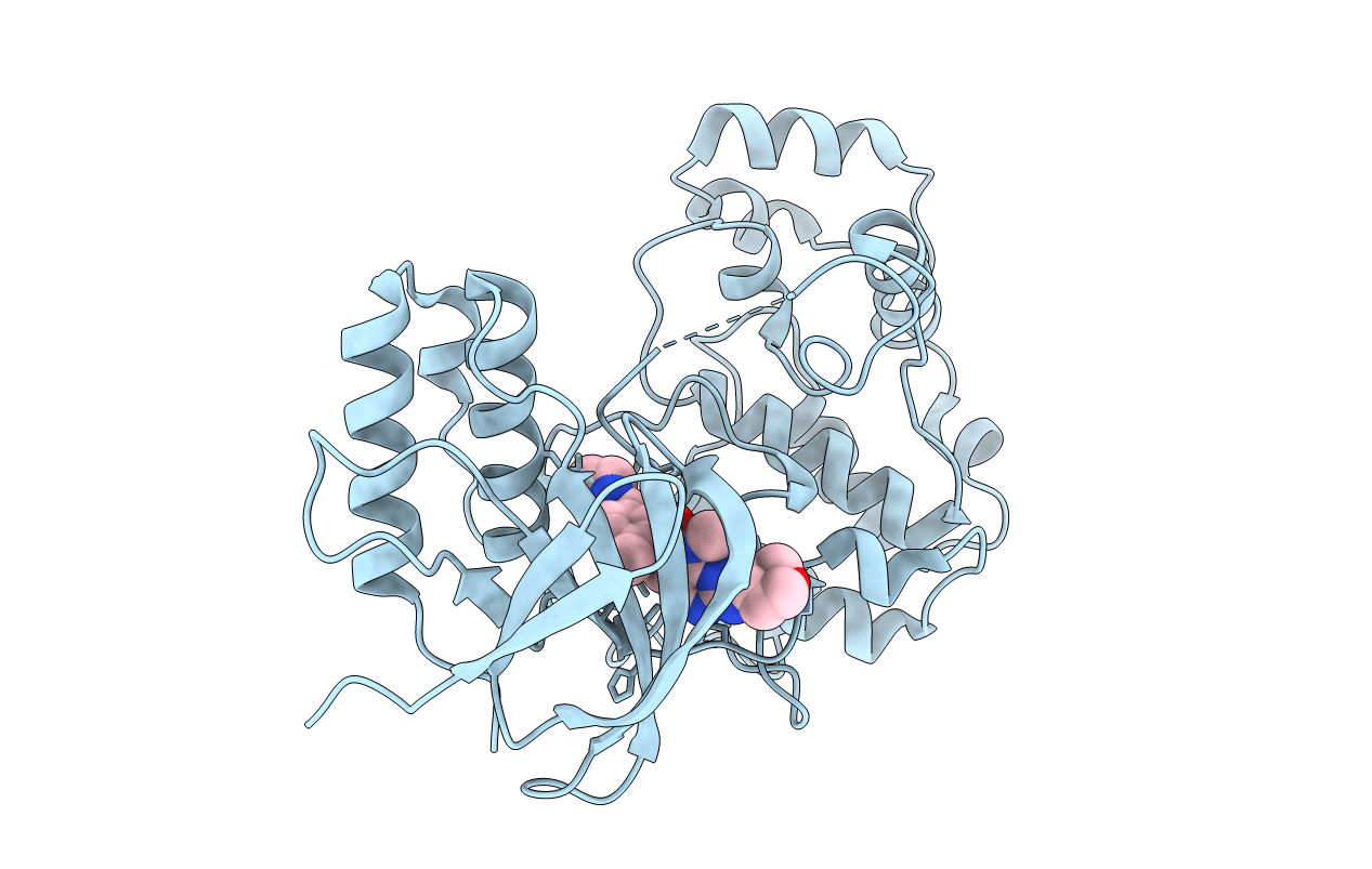 3FKL image