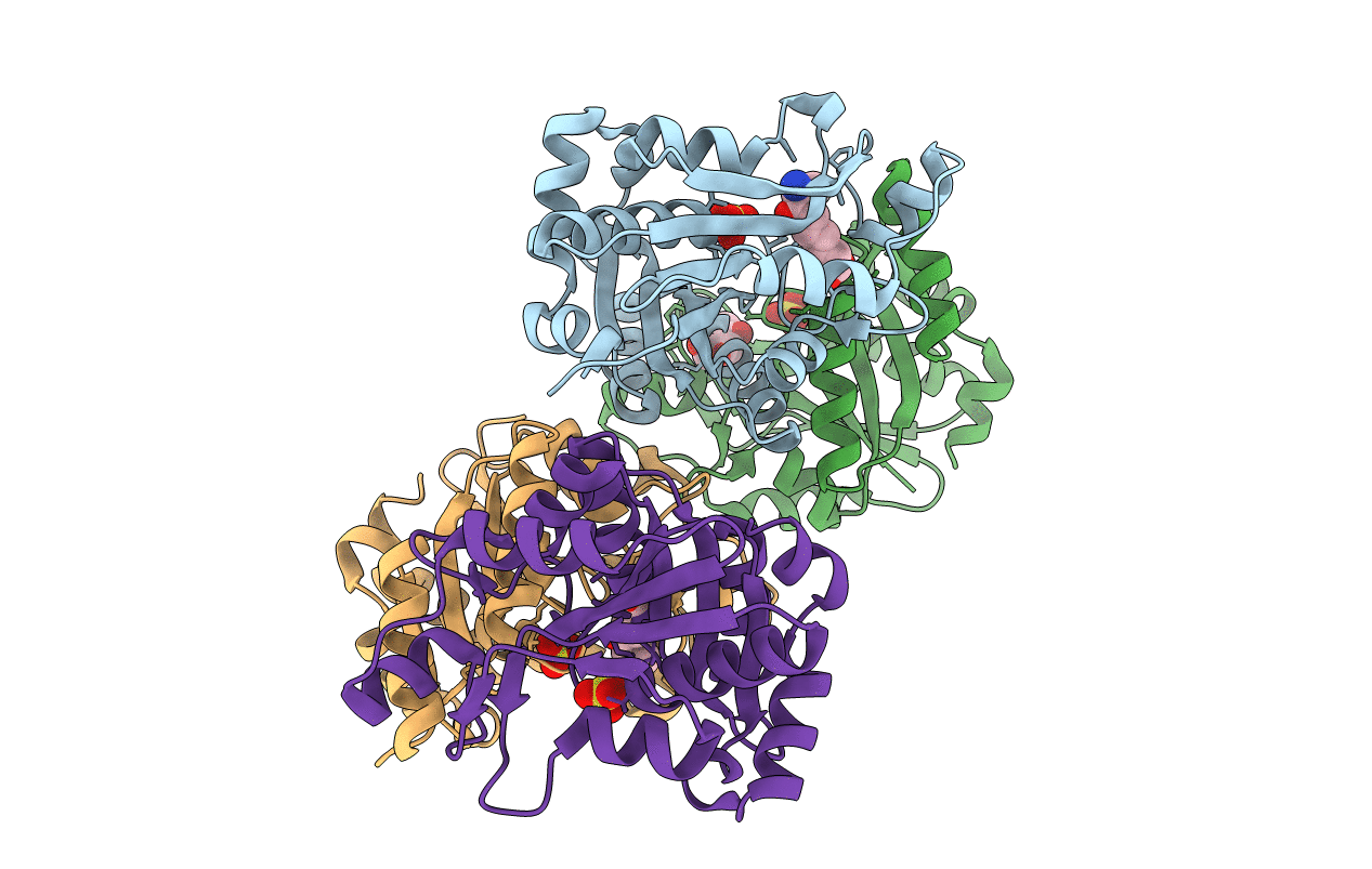 3FMI image