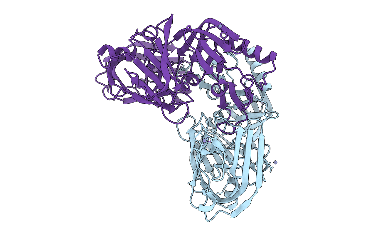 3FNS image