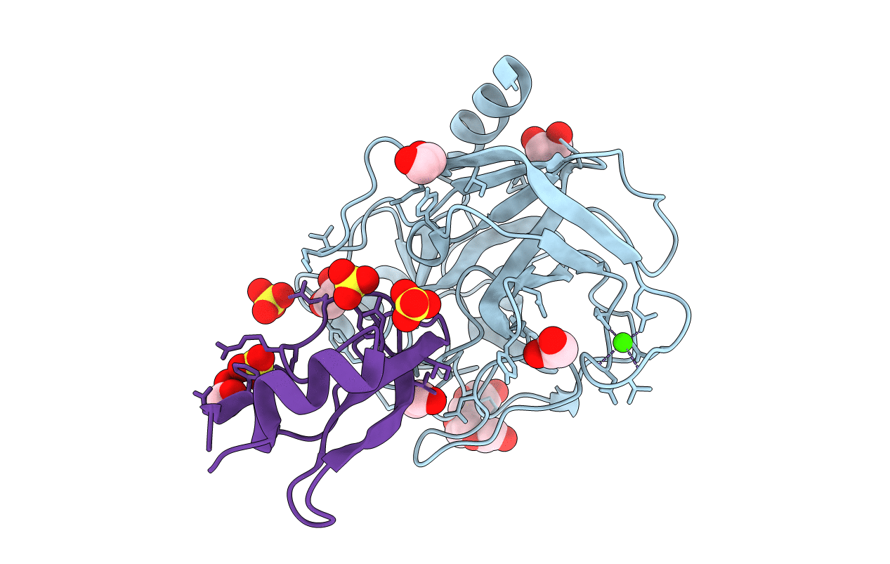 3FP8 image