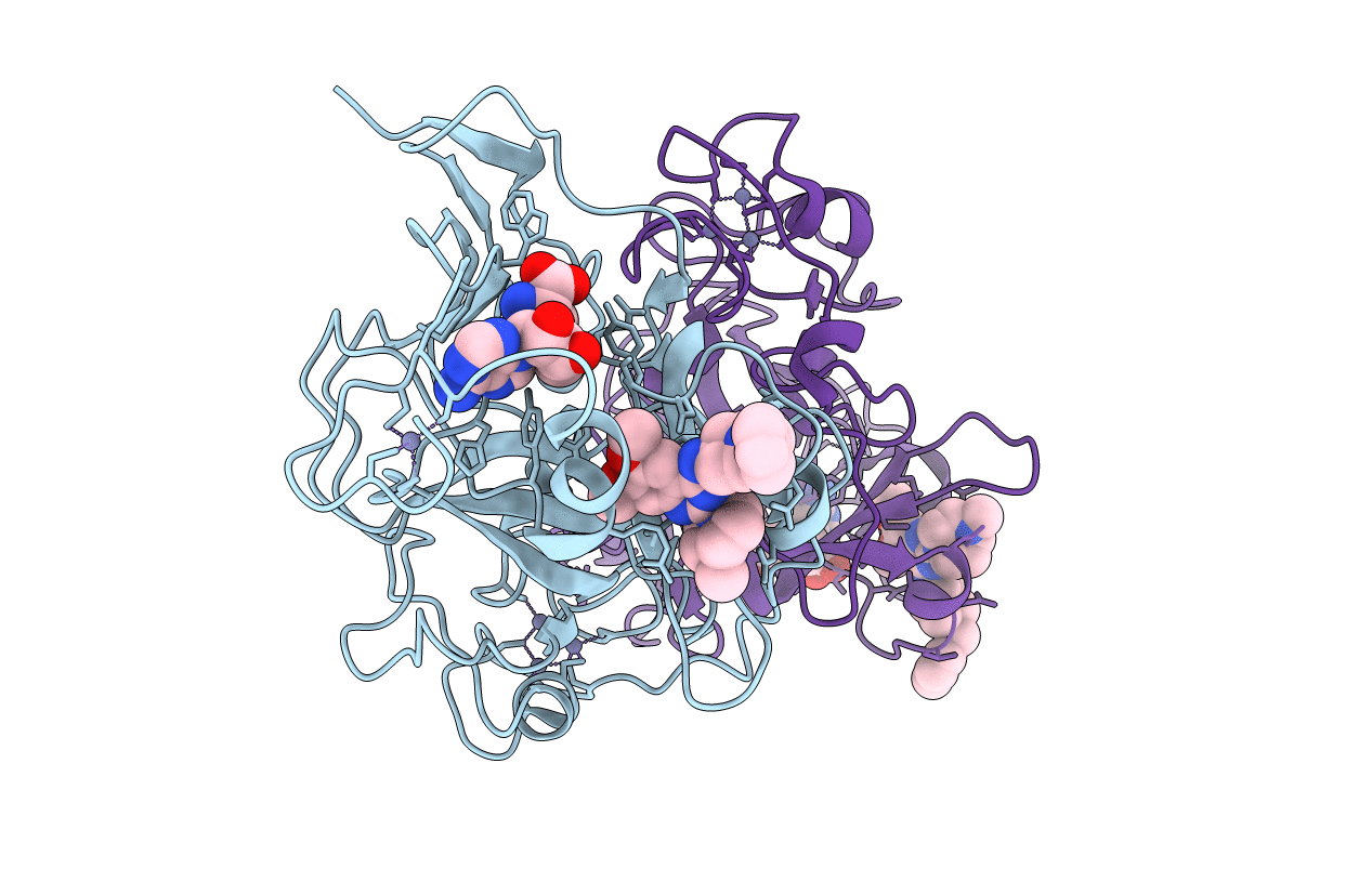 3FPD image
