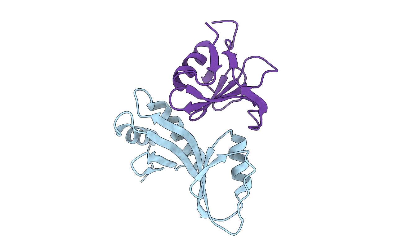 3FPN image