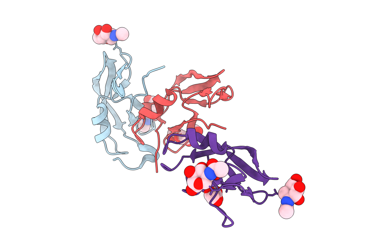 3FPT image