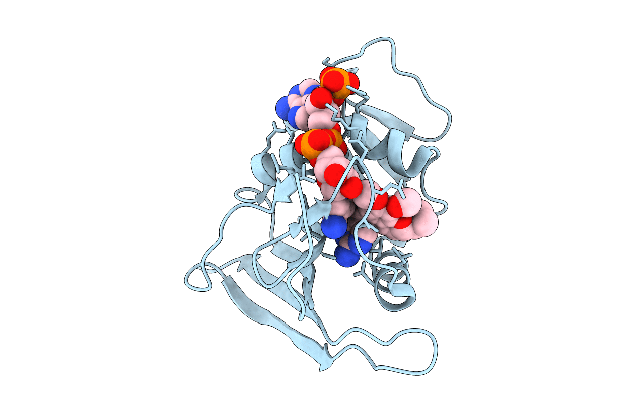 3FRF image