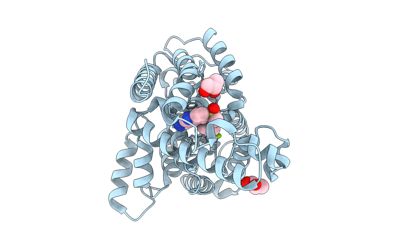 3FRG image