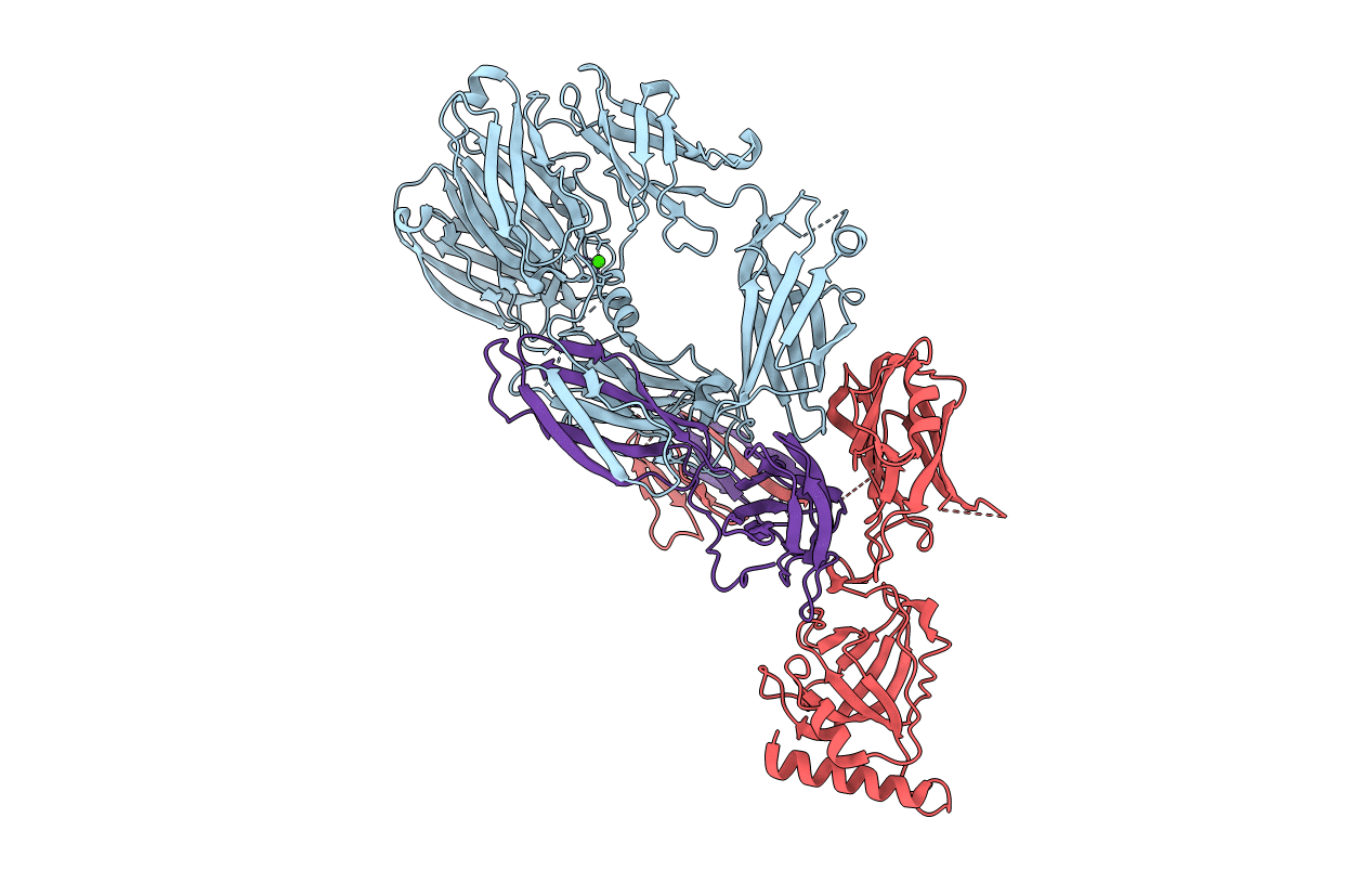 3FRP image