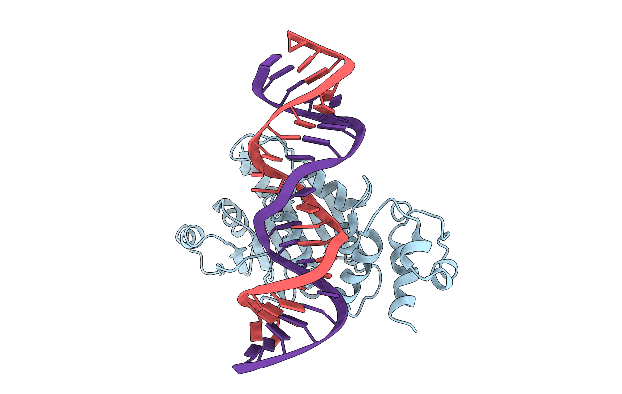 3FTE image