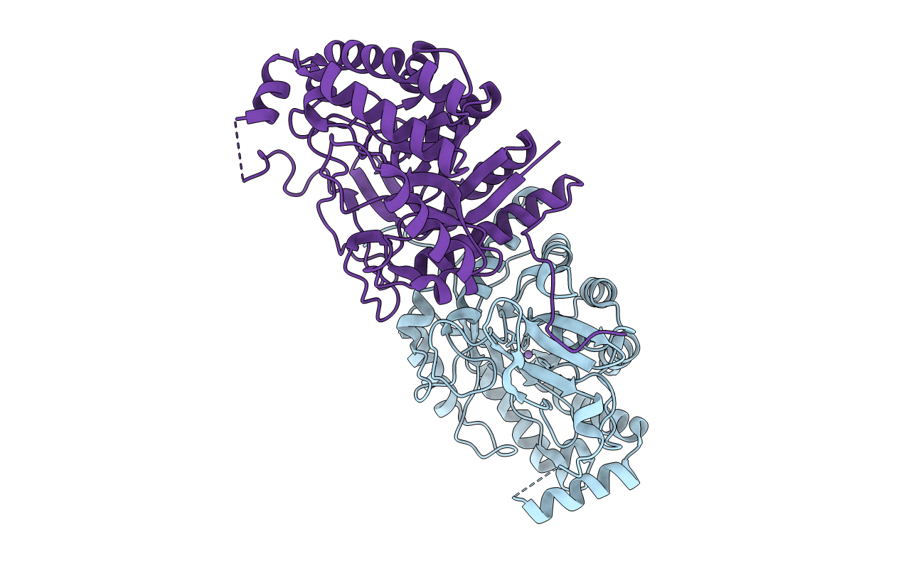 3FVM image