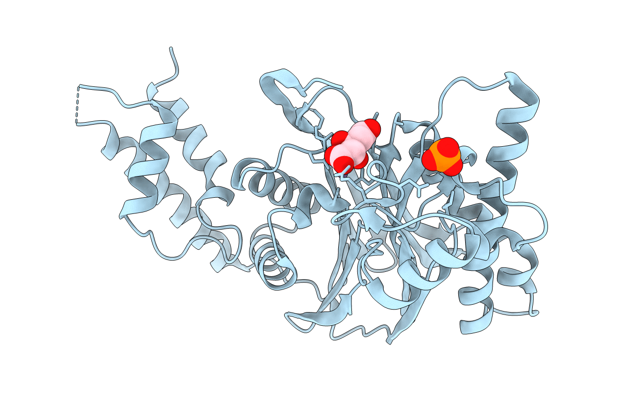 3FXM image