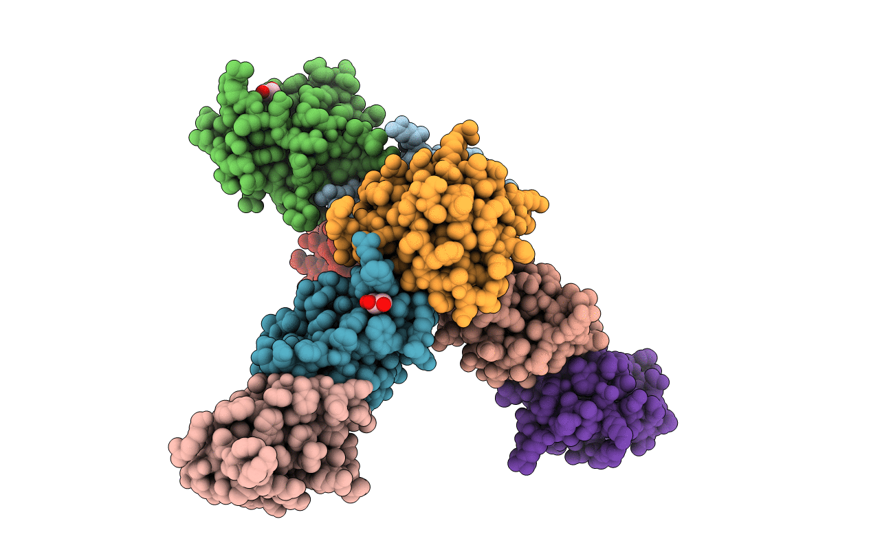 3FXT image