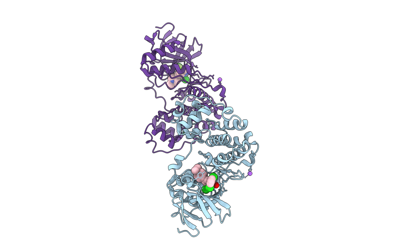 3GC8 image