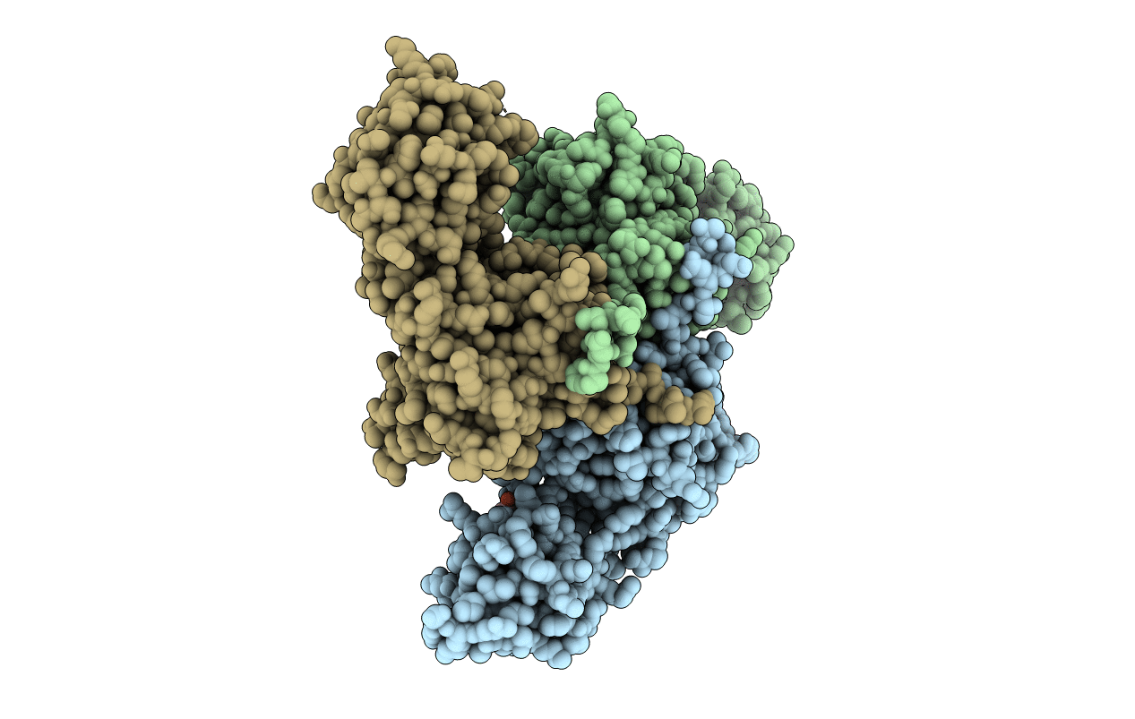 3GDV image