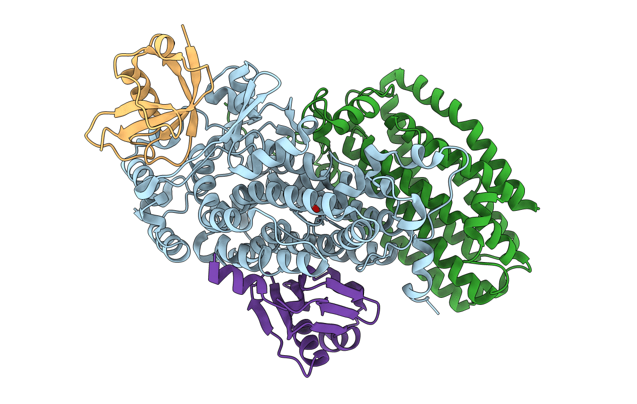 3GE3 image