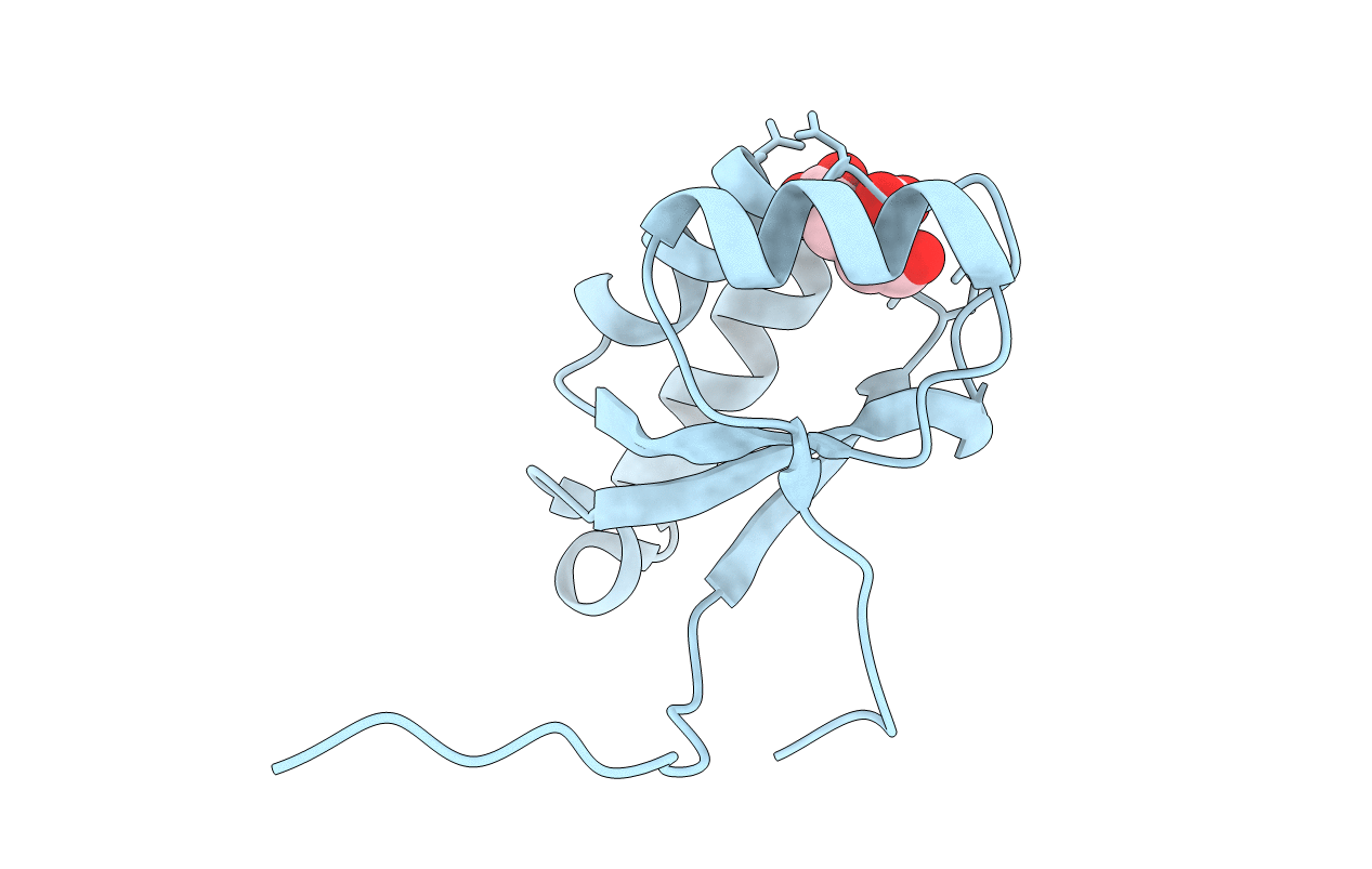 3GHF image