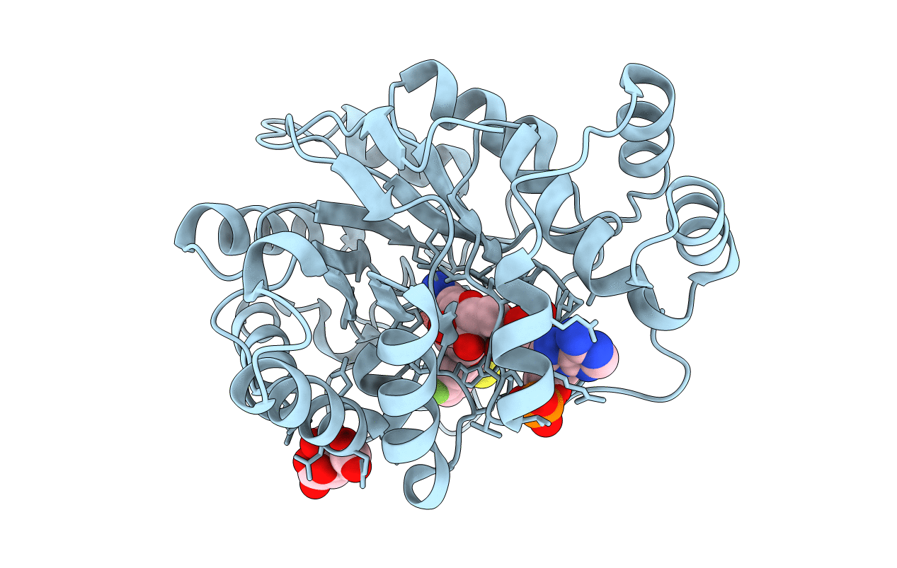 3GHR image