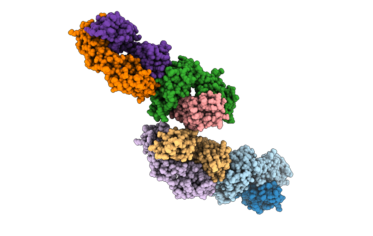 3GJF image