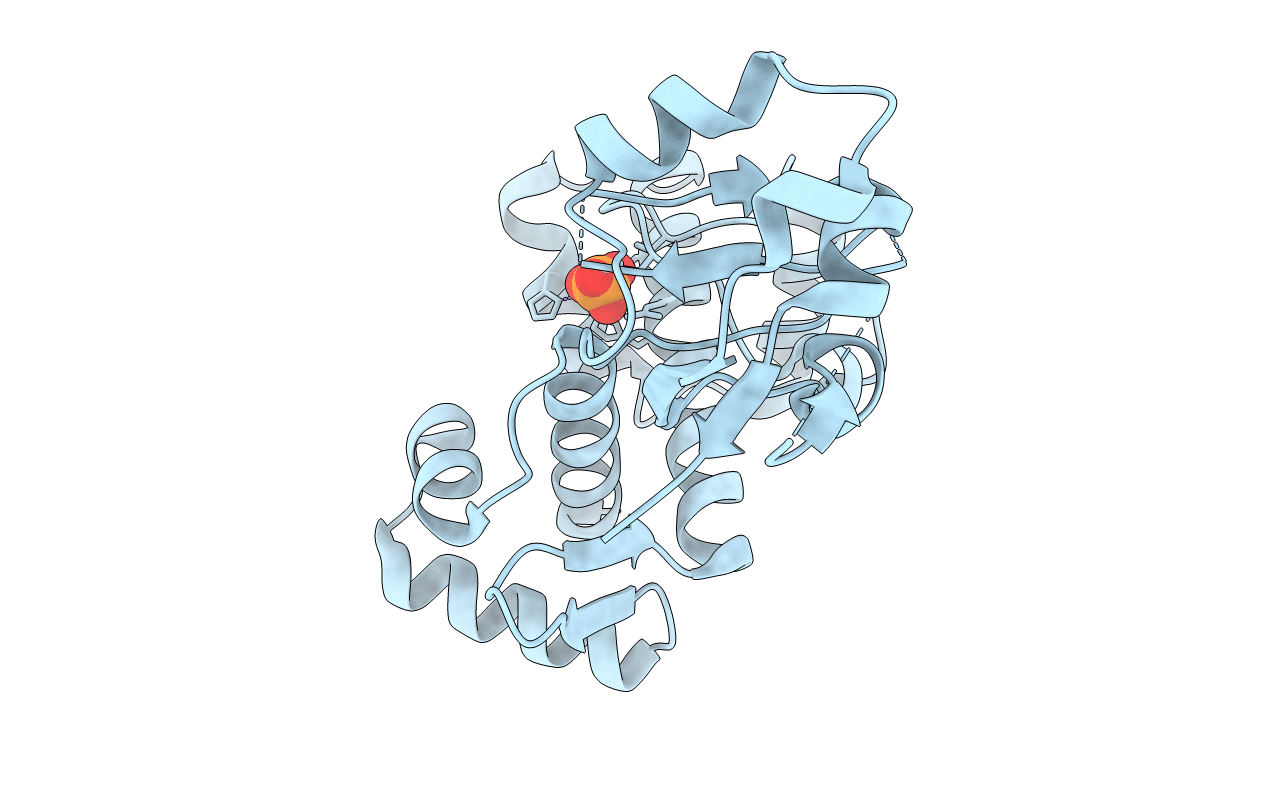 3GLX image