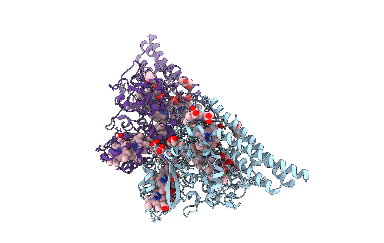 3GM6 image
