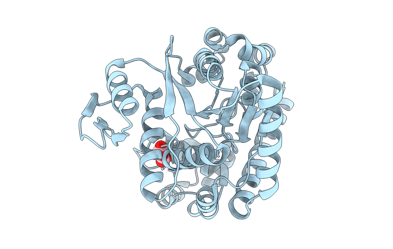 3GMI image