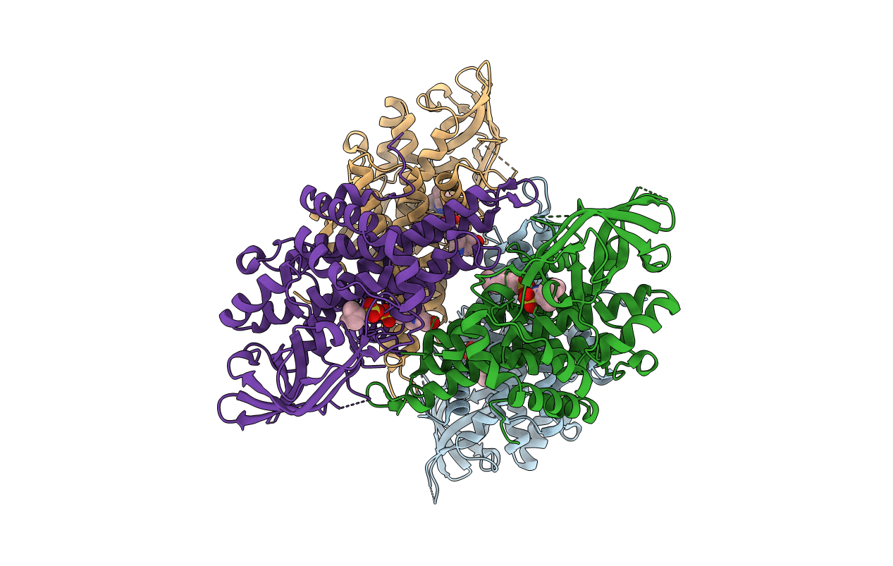 3GNC image