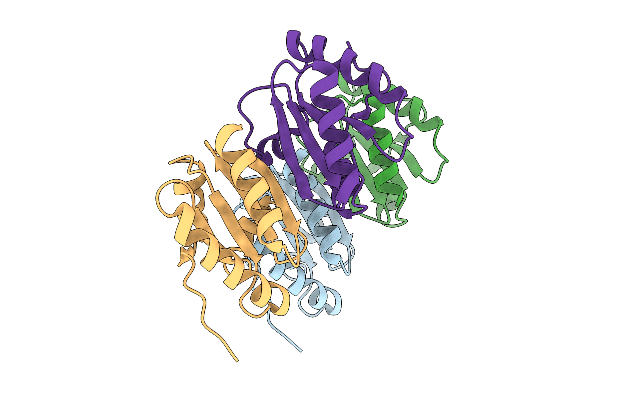 3GNJ image