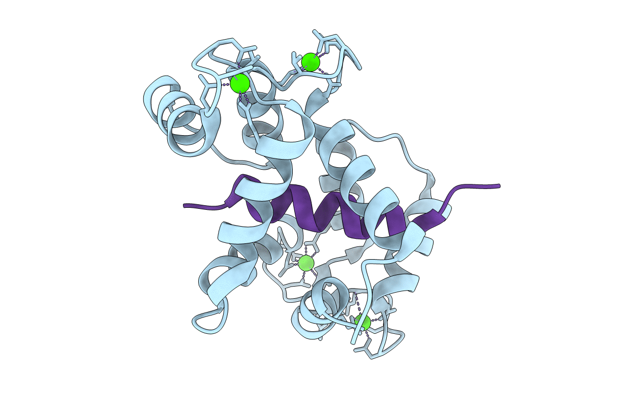 3GP2 image