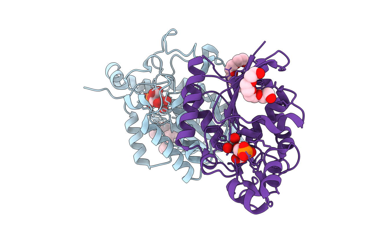 3GP5 image