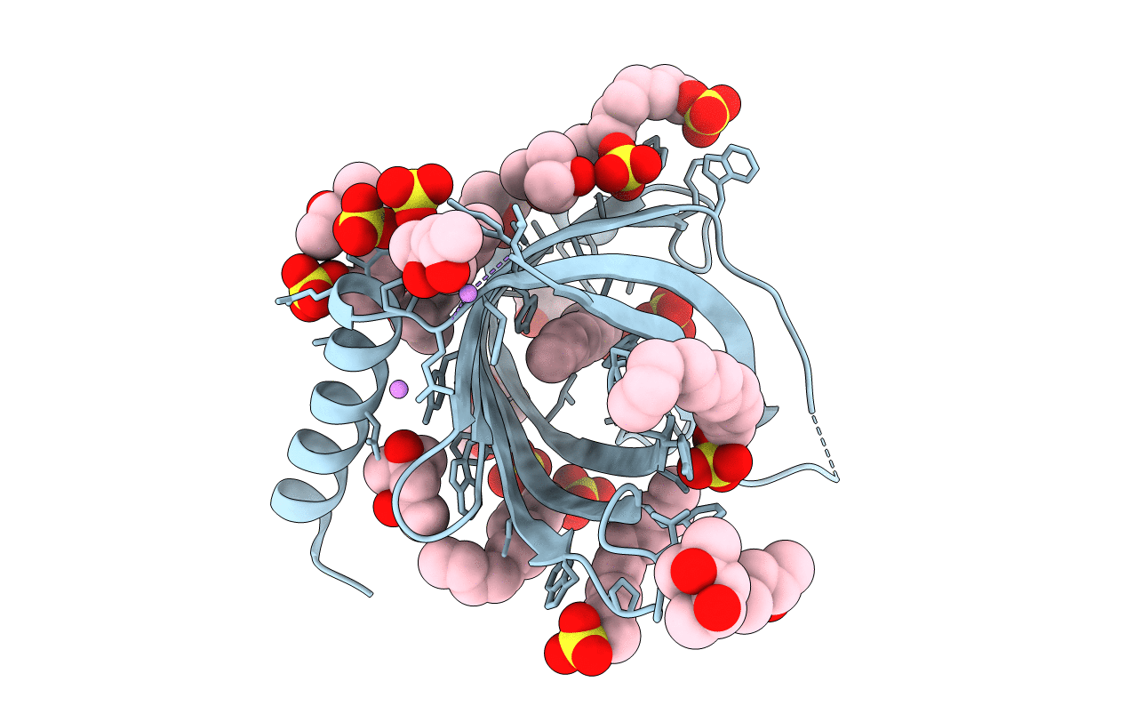 3GP6 image