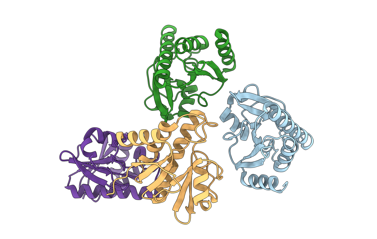 3GPG image