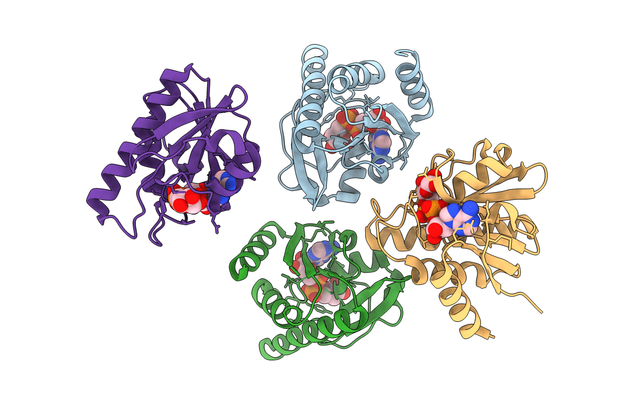 3GPO image